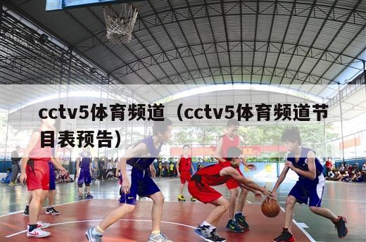 cctv5体育频道（cctv5体育频道节目表预告）